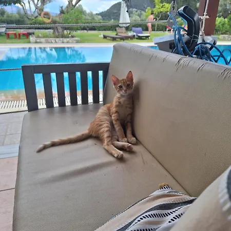 Horizon Apartment Agios Christoforos (Lefkada)