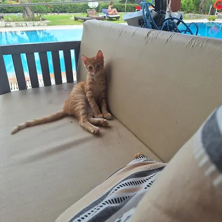 Horizon アパート Agios Christoforos (Lefkada)